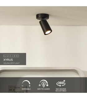 Xyrus Modern Ceiling Spotlight-2