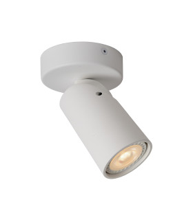 Xyrus Modern Ceiling Spotlight-1