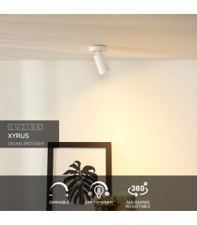 Xyrus Modern Ceiling Spotlight-2