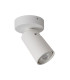 Xyrus Modern Ceiling Spotlight-3