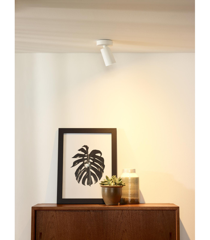 Xyrus Modern Ceiling Spotlight-4