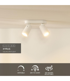 Xyrus Modern Twin Ceiling Spotlight-2