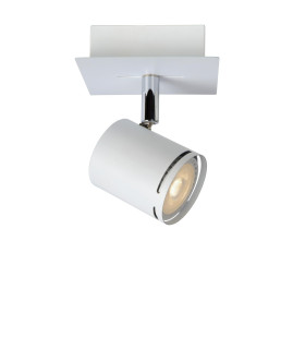 Rilou Modern Ceiling Spotlight-1