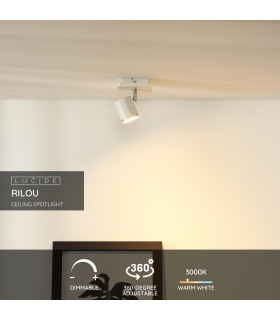 Rilou Modern Ceiling Spotlight-2