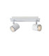 Rilou Modern Twin Ceiling Spotlight-1