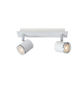 Rilou Modern Twin Ceiling Spotlight-1