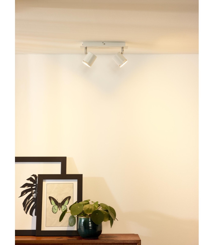 Rilou Modern Twin Ceiling Spotlight-4