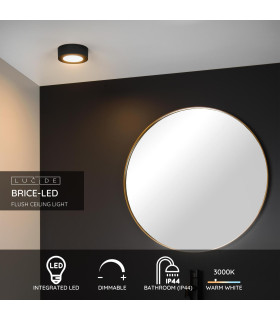 Brice-Led Modern Flush Ceiling Light Bathroom-2