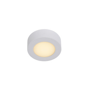 Brice-Led Modern Flush Ceiling Light Bathroom-1