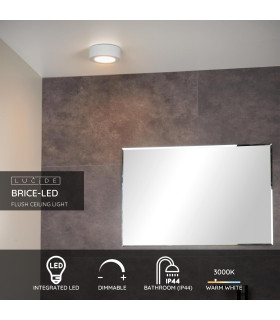 Brice-Led Modern Flush Ceiling Light Bathroom-2