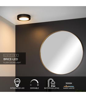 Brice-Led Modern Flush Ceiling Light Bathroom-2