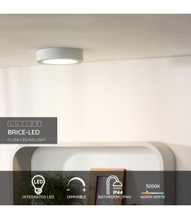 Brice-Led Modern Flush Ceiling Light Bathroom-2