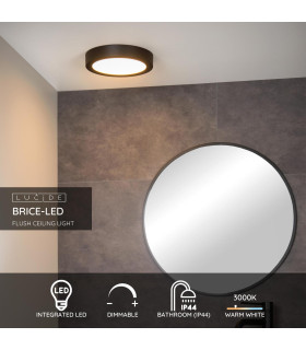 Brice-Led Modern Flush Ceiling Light Bathroom-2