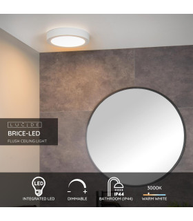 Brice-Led Modern Flush Ceiling Light Bathroom-2