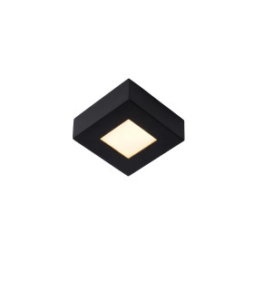 Brice-Led Modern Flush Ceiling Light Bathroom-1