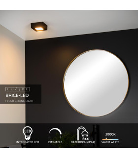 Brice-Led Modern Flush Ceiling Light Bathroom-2