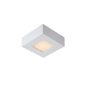 Brice-Led Modern Flush Ceiling Light Bathroom-1