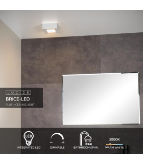 Brice-Led Modern Flush Ceiling Light Bathroom-2