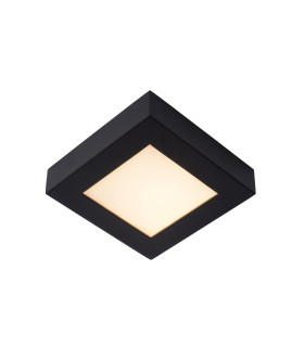 Brice-Led Modern Flush Ceiling Light Bathroom-1