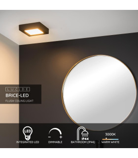 Brice-Led Modern Flush Ceiling Light Bathroom-2