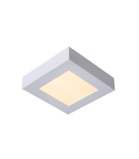 Brice-Led Modern Flush Ceiling Light Bathroom-1