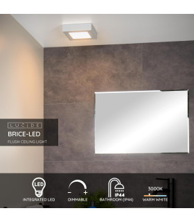 Brice-Led Modern Flush Ceiling Light Bathroom-2