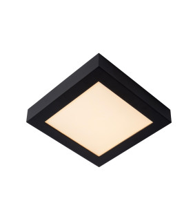 Brice-Led Modern Flush Ceiling Light Bathroom-1