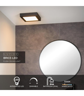 Brice-Led Modern Flush Ceiling Light Bathroom-2