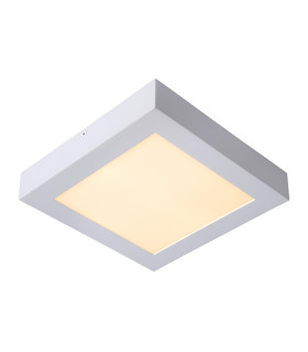 Brice-Led Modern Flush Ceiling Light Bathroom-1