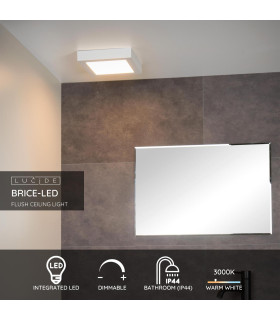 Brice-Led Modern Flush Ceiling Light Bathroom-2