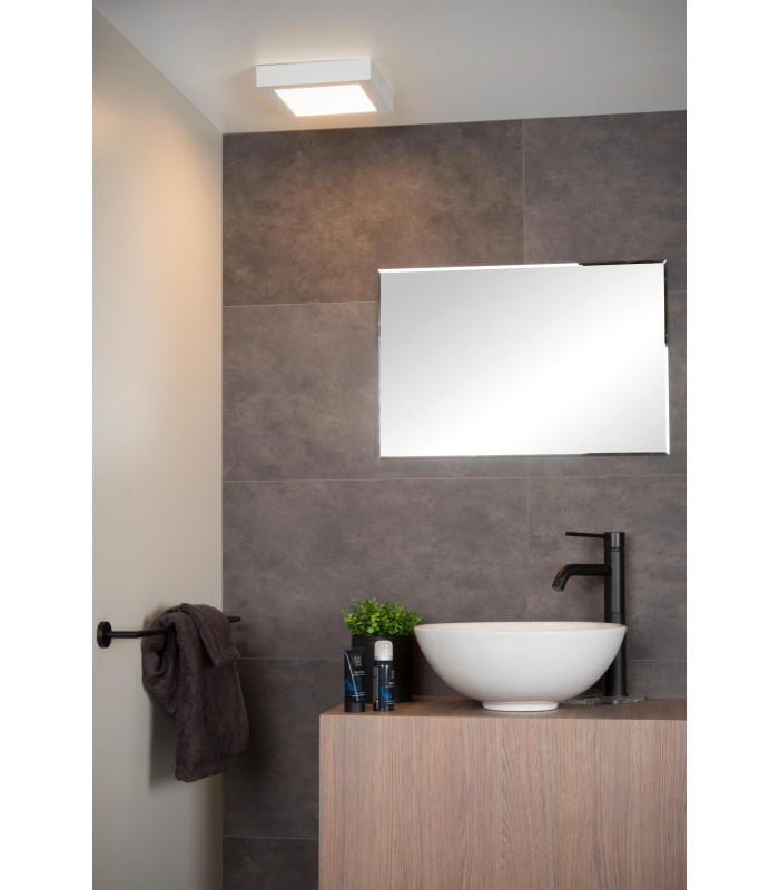 Brice-Led Modern Flush Ceiling Light Bathroom-4