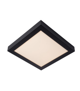 Brice-Led Modern Flush Ceiling Light Bathroom-1
