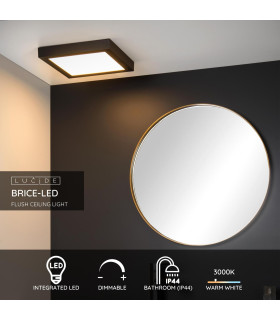 Brice-Led Modern Flush Ceiling Light Bathroom-2