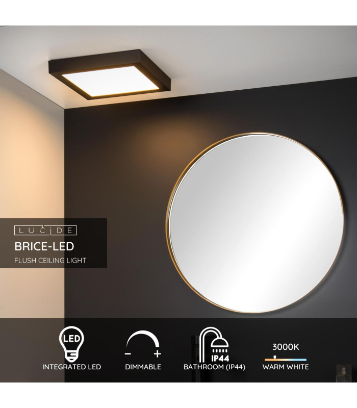 Brice-Led Modern Flush Ceiling Light Bathroom-2