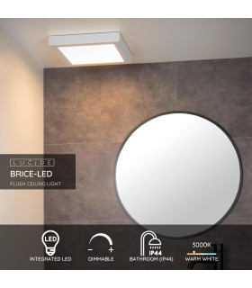Brice-Led Modern Flush Ceiling Light Bathroom-2