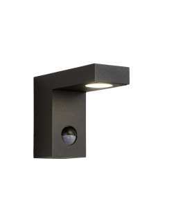 Texas-Ir Modern Wall Spotlight Outdoor