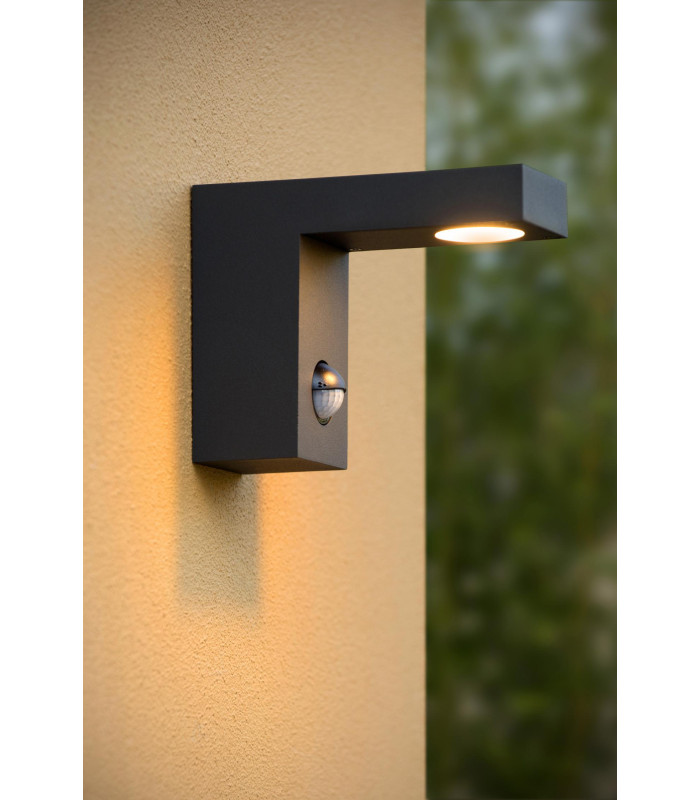PIR Sensor-2