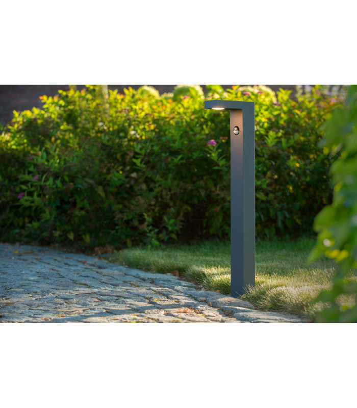 PIR Sensor-2