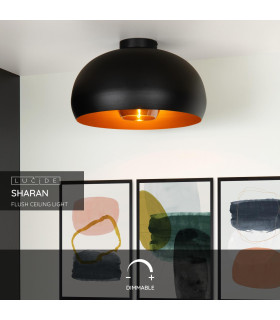 Sharan Retro Flush Ceiling Light-2