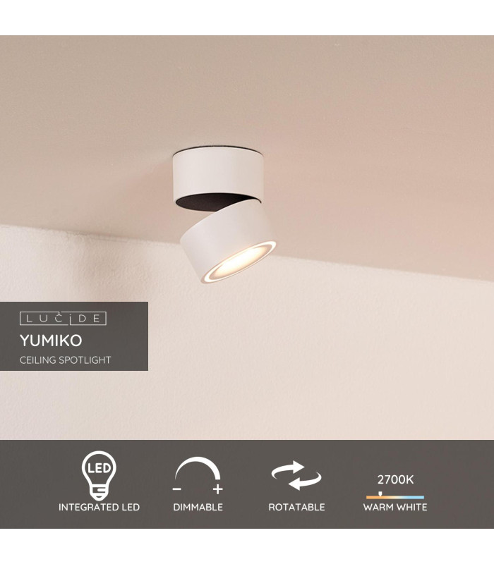 Yumiko Modern Surface Mounted Ceiling Spotlight-2