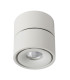 Yumiko Modern Surface Mounted Ceiling Spotlight-3