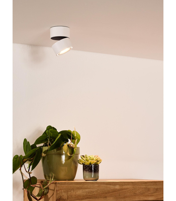 Yumiko Modern Surface Mounted Ceiling Spotlight-4
