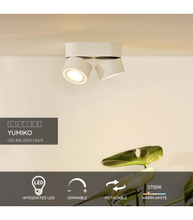 Yumiko Modern Surface Mounted Ceiling Spotlight-2