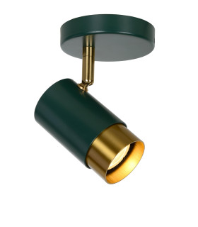 Floris Modern Ceiling Spotlight-1