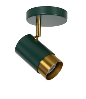 Floris Modern Ceiling Spotlight-2