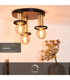 Anaka Modern Flush Ceiling Light-2