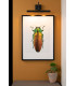 Vinz Classic 36cm Picture Light-3