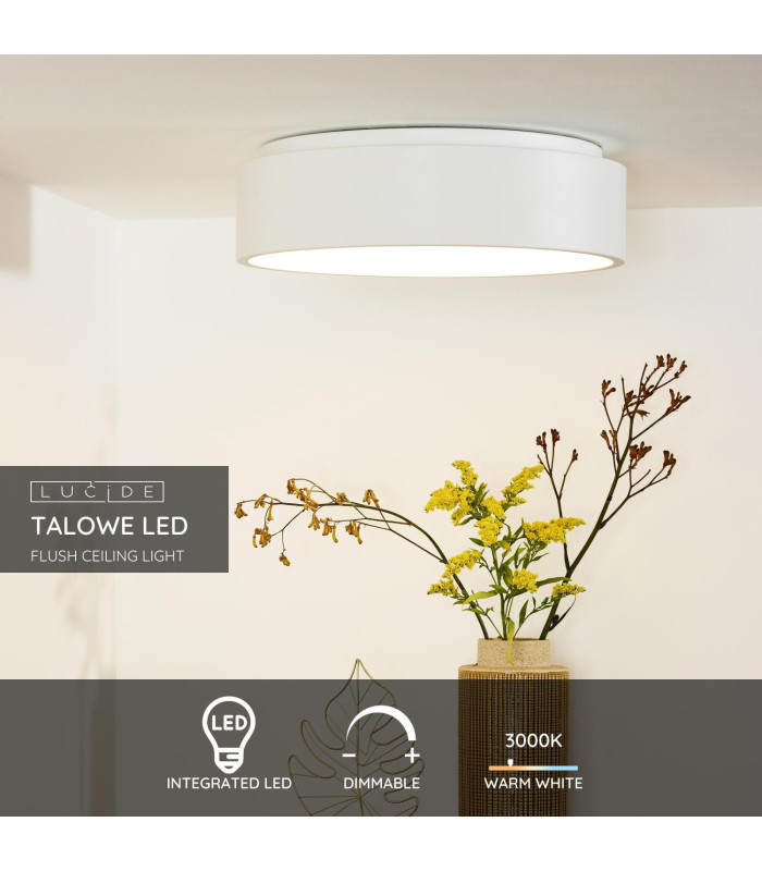 Talowe Led Modern Flush Ceiling Light-2