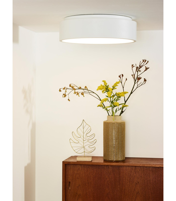 Talowe Led Modern Flush Ceiling Light-4