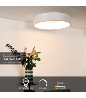 Talowe Led Modern Flush Ceiling Light-2